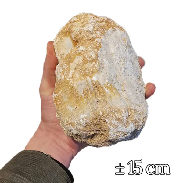 Geode 15 cm Dicht 4 stuks - Afbeelding 2