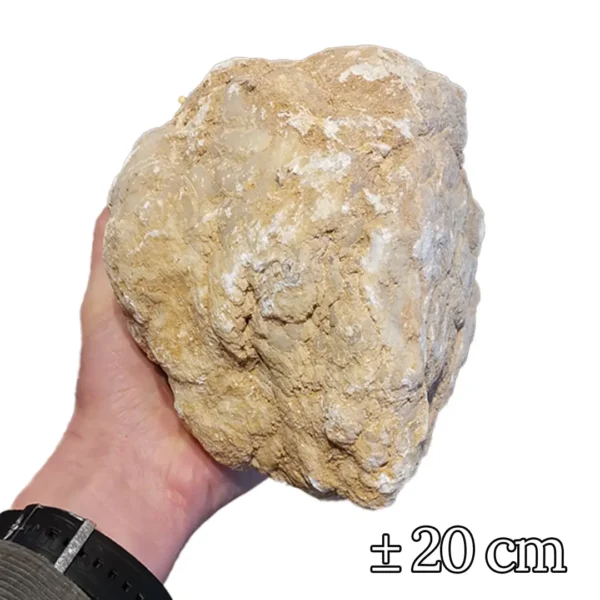 Geode 20 cm Dicht 4 stuks - Afbeelding 2